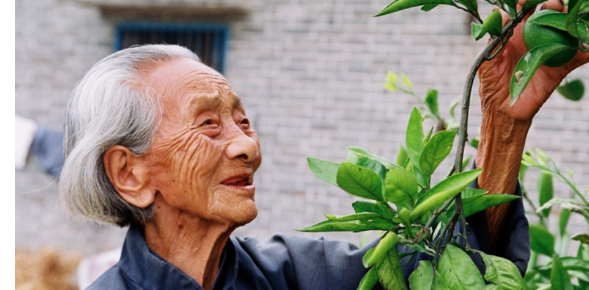 吃亏是福吗?为什么多年来只见吃亏没见福?,为什么人们说吃亏是福图2