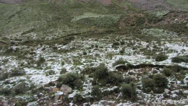 成都出发骑行到拉萨要多少天（从成都骑行到拉萨只要20天）(9)