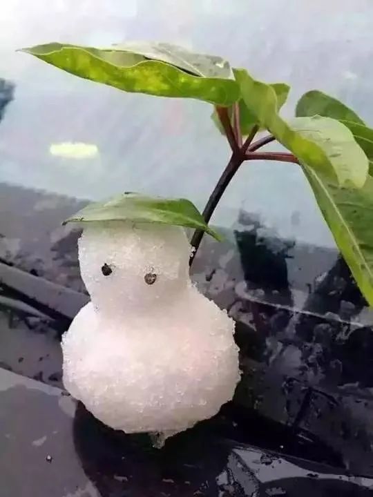 广州真的下雪了?原来这里的“雪”最大......气象部门最新回应