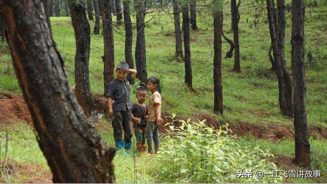 大凉山孩子的真实现状（凉山里皮肤黝黑的彝家孩子）(4)
