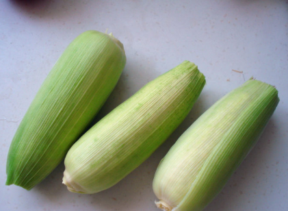 老玉米煮多长时间,玉米煮多少时间能熟?图6