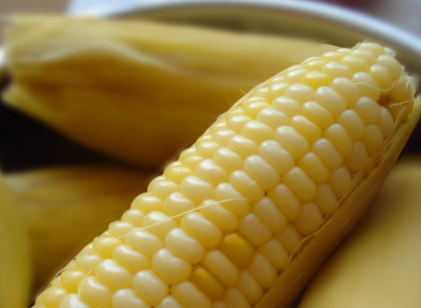 老玉米煮多长时间,玉米煮多少时间能熟?图24