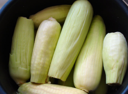 老玉米煮多长时间,玉米煮多少时间能熟?图7