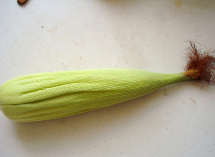 老玉米煮多长时间,玉米煮多少时间能熟?图17