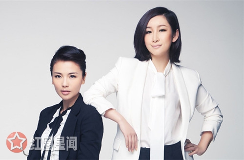 秦海璐怎么是刘涛老板 秦海璐和刘涛什么关系