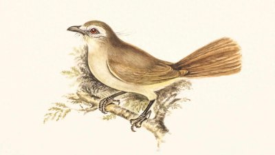 ​梁山108将中正史上真正存在吗？揭秘历史真相！