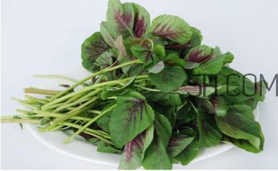 ​苋菜为什么是红的？苋菜是凉性的吗？
