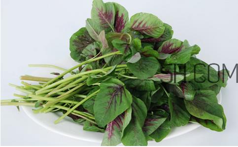 苋菜为什么是红的?苋菜是凉性的吗? 苋菜为什么是红的?苋菜是凉性的吗?