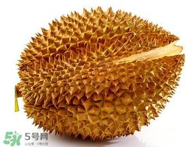 红心榴莲和黄心榴莲哪个好吃?红心榴莲和黄心榴莲的区别 红心榴莲和黄心榴莲哪个好吃?红心榴莲和黄心榴莲的区别