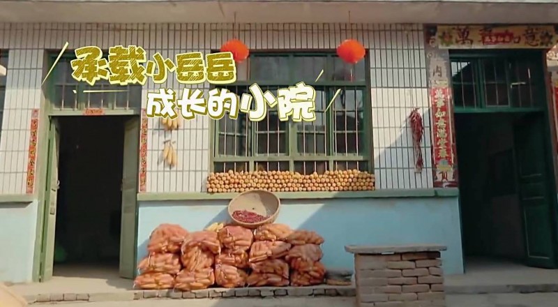 岳云鹏个人资料及图片（草根英雄岳云鹏的开挂人生）