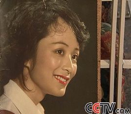 王洁实简历，王洁是谁(王洁实的资料)