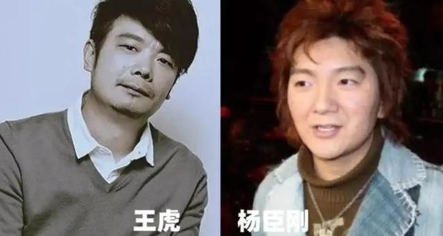 杨臣刚在春晚上假唱（杨臣刚一首歌赚1.7亿）