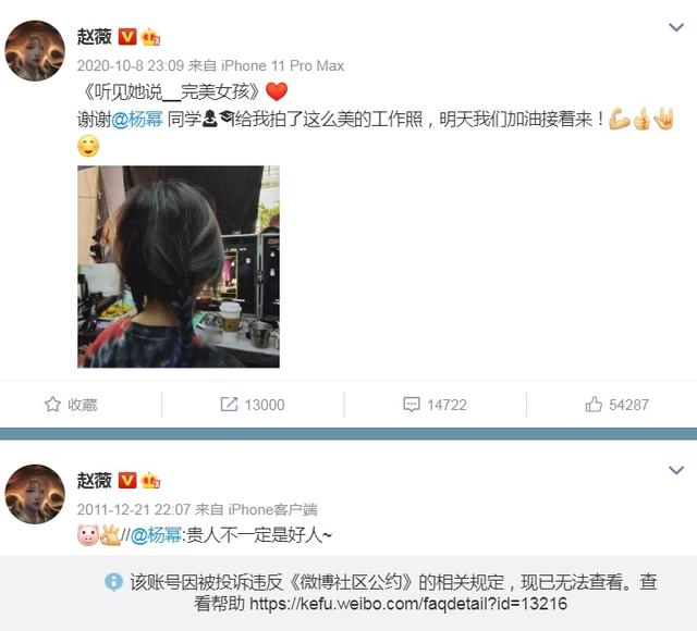 赵薇的作品会解封吗 赵薇作品被多平台除名(11)