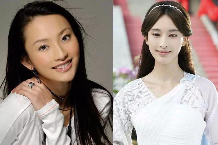 张俪整容，张俪的脸,本文共（1195字）