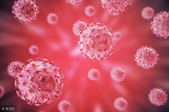 悄悄告诉你，海星泡酒有5大好处，千万别错过了