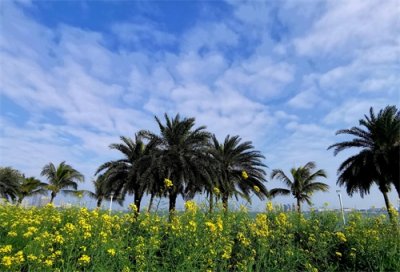 ​梅溪牌坊，二个钟的穿行让你读懂珠海的历史