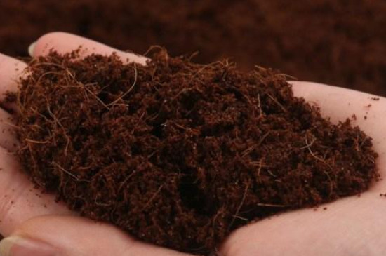 米糠可以做营养土种花吗(图2)