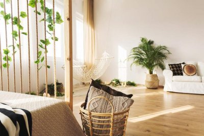 ​小叶紫檀盆景如何修剪