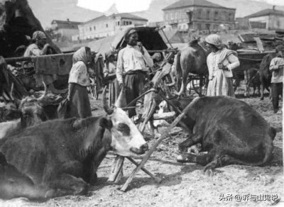 ​二战乌克兰，不但经历了三次大饥荒，还被苏联和德国轮流执行屠杀