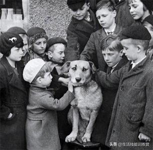 ​30 张有趣的历史照片淋漓地展示过去人们的生活