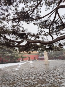 ​解读明朝历史