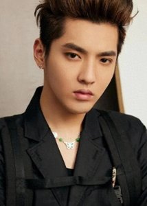 ​吴亦凡：从明星光环到法律制裁的演艺之路