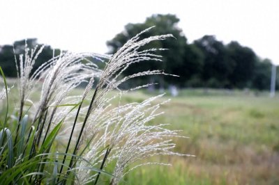 ​超出片！秋日限定网红打卡地，就在襄阳这里！