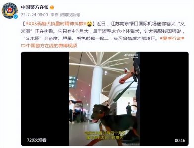 ​只有4个月大！江苏南京迷你警犬执勤时精神抖擞萌翻众人