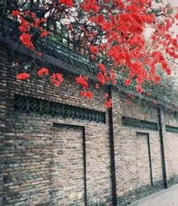 ​红杏出墙的女人，都有3个表现，男人快避开！