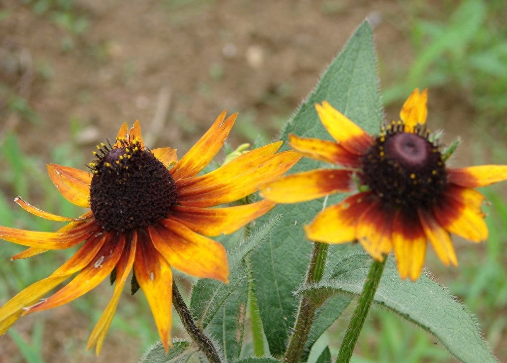 探访末代皇帝溥仪的陵墓：没有先祖们的奢华，但两位妻子陪葬左右