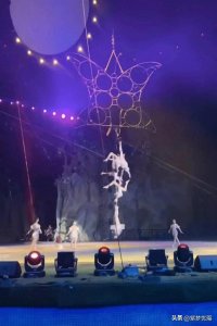 ​厦门灵玲马戏团事故揭秘：杂技演员为何命丧空中？