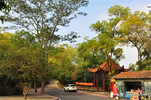 随拍公园 - 东莞大屏嶂森林公园