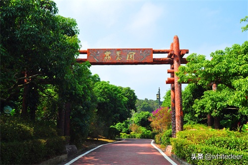 随拍公园 - 东莞大屏嶂森林公园