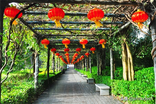 随拍公园 - 东莞大屏嶂森林公园