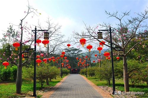 随拍公园 - 东莞大屏嶂森林公园