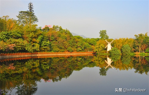 随拍公园 - 东莞大屏嶂森林公园