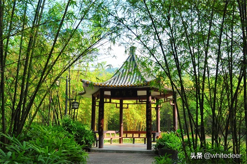 随拍公园 - 东莞大屏嶂森林公园