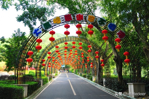 随拍公园 - 东莞大屏嶂森林公园