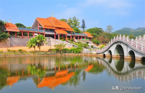 随拍公园 - 东莞大屏嶂森林公园