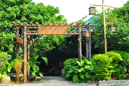 随拍公园 - 东莞大屏嶂森林公园