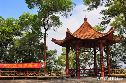 随拍公园 - 东莞大屏嶂森林公园