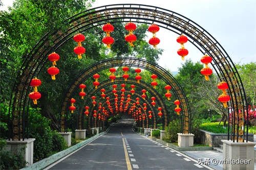 随拍公园 - 东莞大屏嶂森林公园