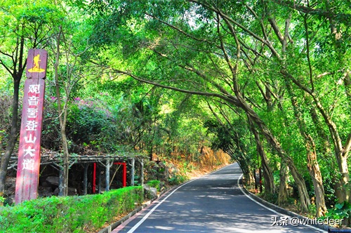 随拍公园 - 东莞大屏嶂森林公园