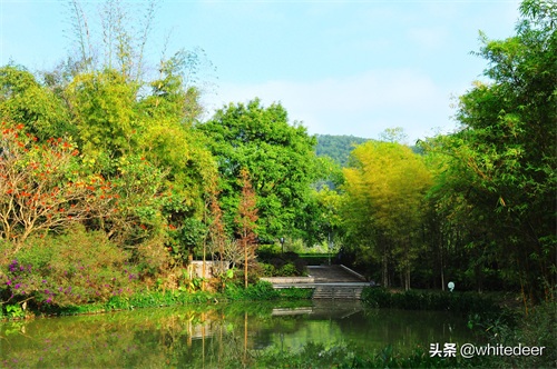 随拍公园 - 东莞大屏嶂森林公园