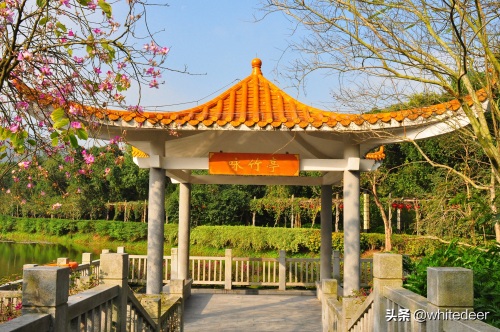 随拍公园 - 东莞大屏嶂森林公园