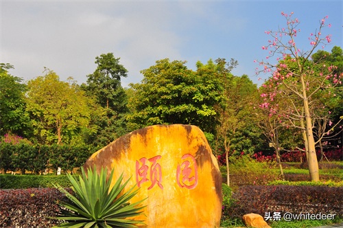 随拍公园 - 东莞大屏嶂森林公园