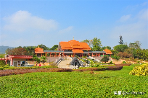 随拍公园 - 东莞大屏嶂森林公园