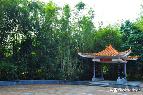 随拍公园 - 东莞大屏嶂森林公园