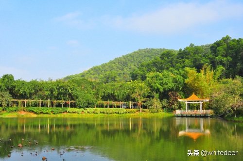 随拍公园 - 东莞大屏嶂森林公园