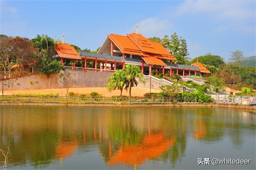 随拍公园 - 东莞大屏嶂森林公园